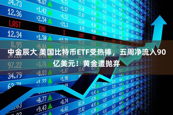 中金辰大 美国比特币ETF受热捧，五周净流入90亿美元！黄金遭抛弃