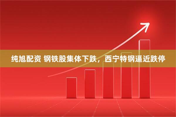 纯旭配资 钢铁股集体下跌，西宁特钢逼近跌停