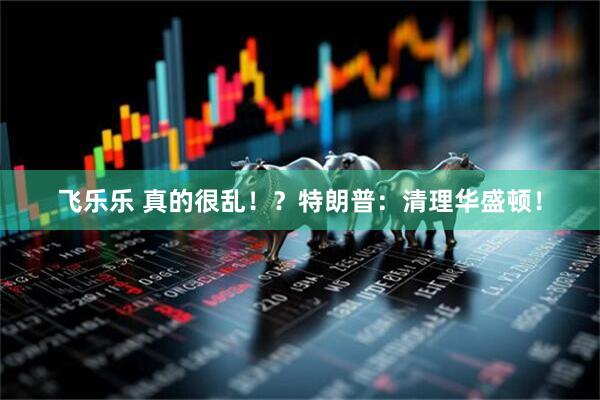 飞乐乐 真的很乱！？特朗普：清理华盛顿！