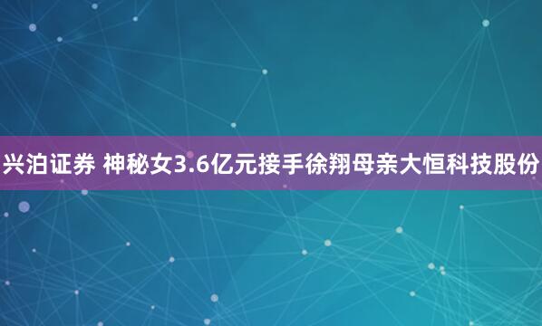 兴泊证券 神秘女3.6亿元接手徐翔母亲大恒科技股份