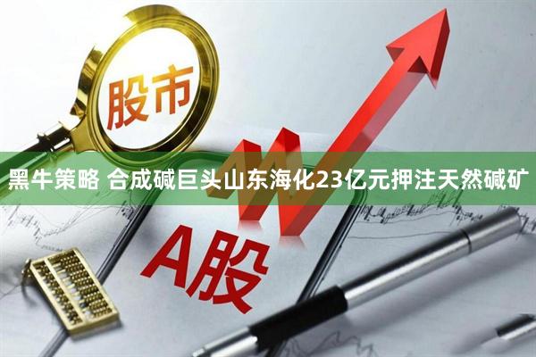 黑牛策略 合成碱巨头山东海化23亿元押注天然碱矿