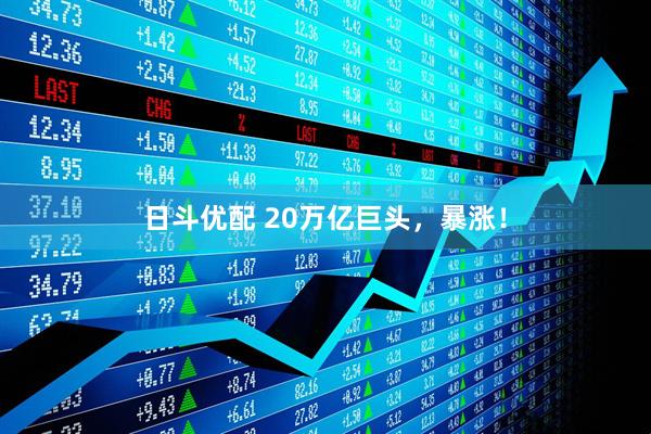 日斗优配 20万亿巨头，暴涨！