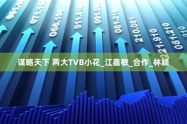 谋略天下 两大TVB小花_江嘉敏_合作_林颖